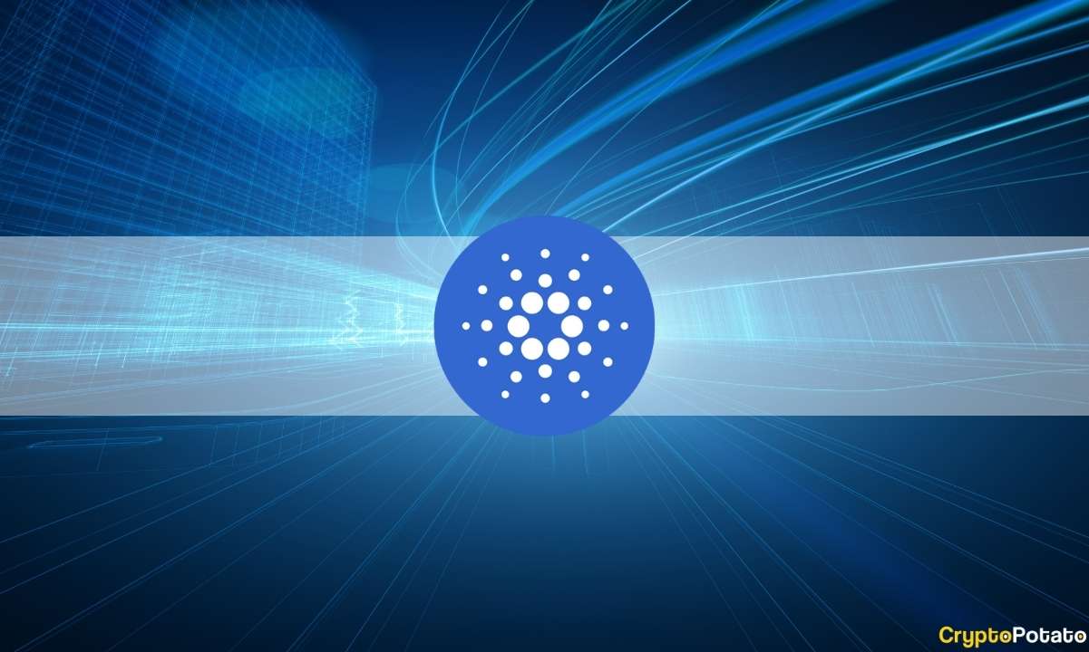 Cardano With Most Commits per Month in the Past Year: Report