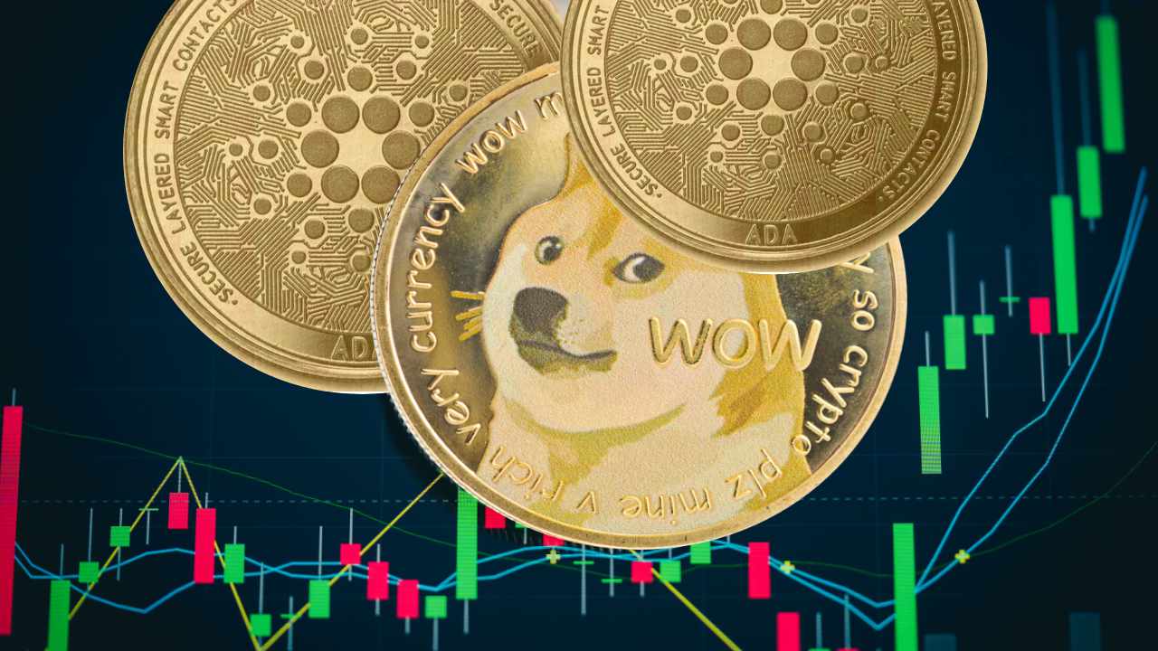 Dogecoin Millionaire Says He's Going 'All in' on Cardano — Bullish on Both DOGE and ADA
