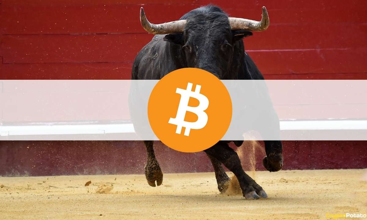 3 Possible Reasons Behind Bitcoin's Surge towards $56k