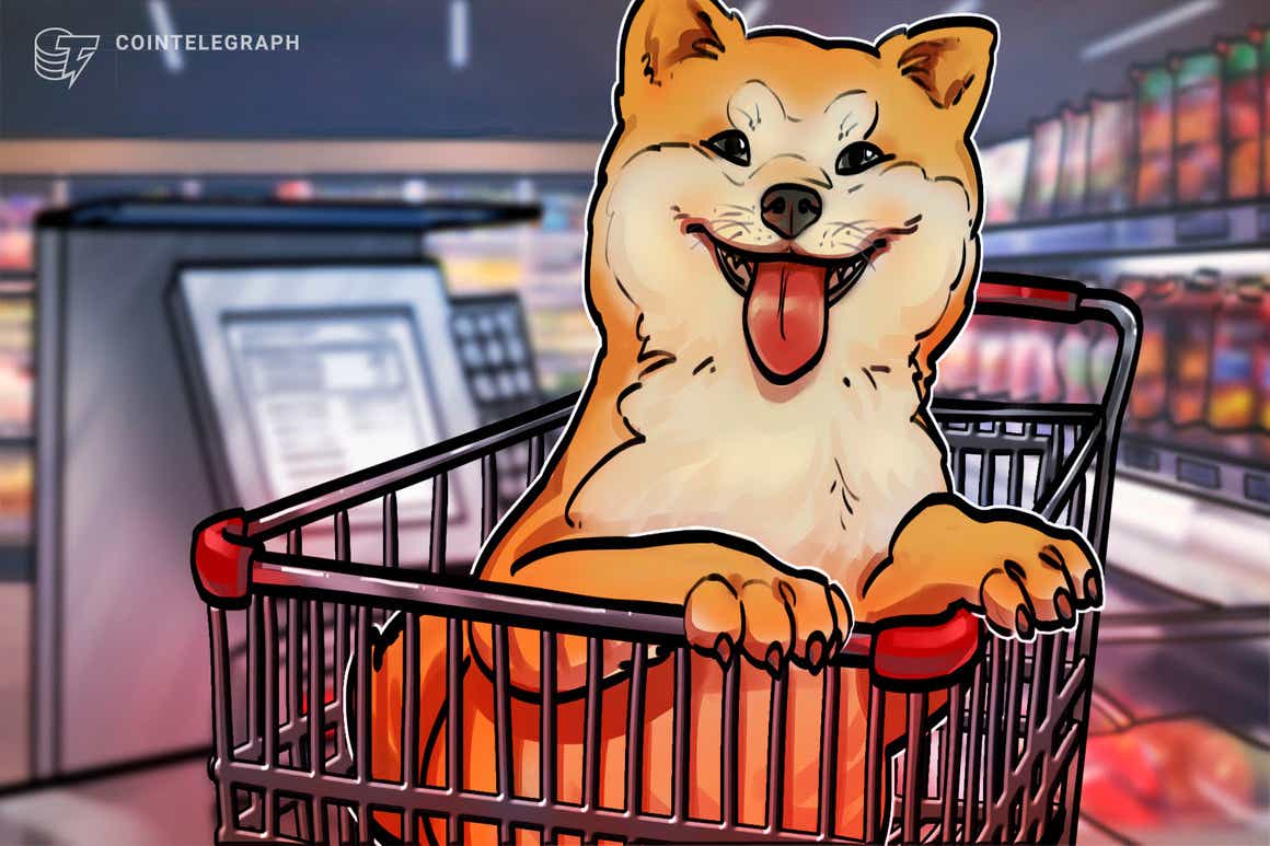 Shiba Inu is now a top-20 cryptocurrency with SHIB price soaring 300% in 9 days