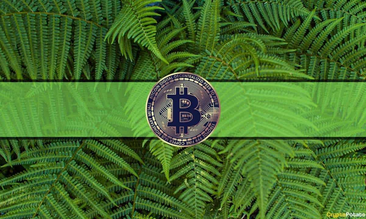 Bitcoin Stable at $40K, FOMC Meeting, and APE Airdrop: This Week's Crypto Recap