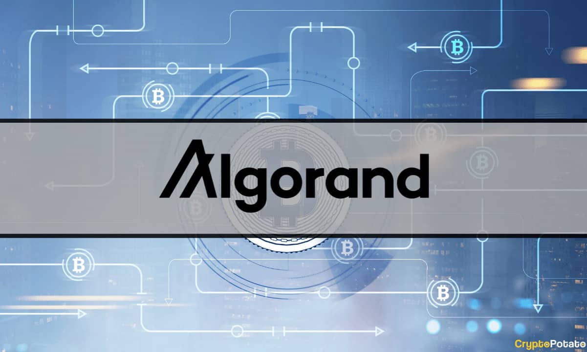 Flare Network Receives Grant to Connect Bitcoin With Algorand