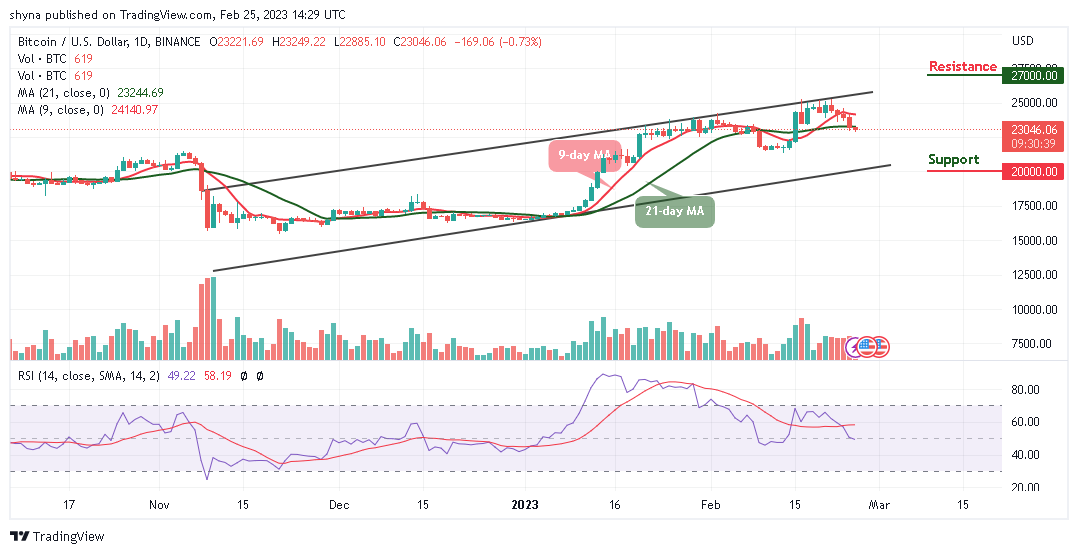 Bitcoin Price Prediction for Today, February 25: BTC/USD Could Obtain Strong Support Below $23k