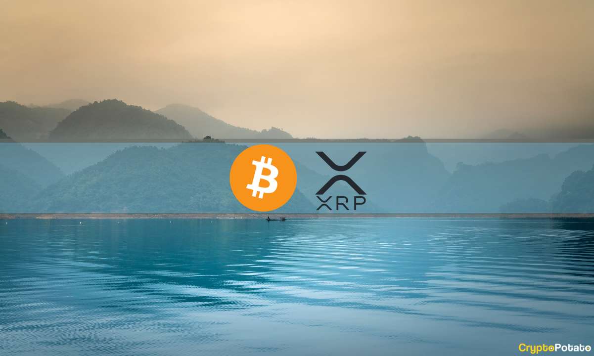XRP Rally Cools Off, MicroStrategy Buys More BTC, Market Calms Down: This Week's Crypto Recap